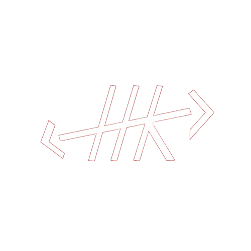 Tamir Omer Logo